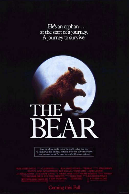Bear movie