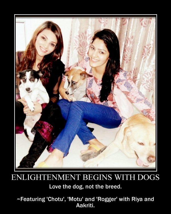 Love the dog, not the breed, How enlightened are you? 