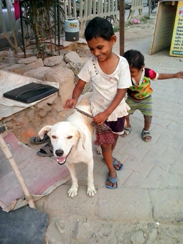 compassion - dog with blog