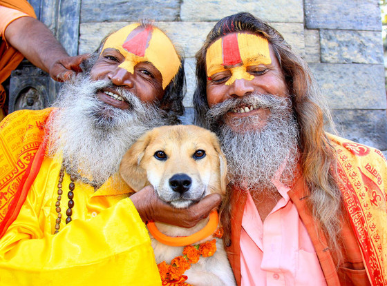 rupee 2 - Oscar World Woof Tour, Indian saints with dog 